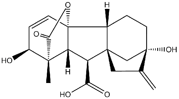 赤霉素GIBBERELLIC ACID，居然有這么神奇？